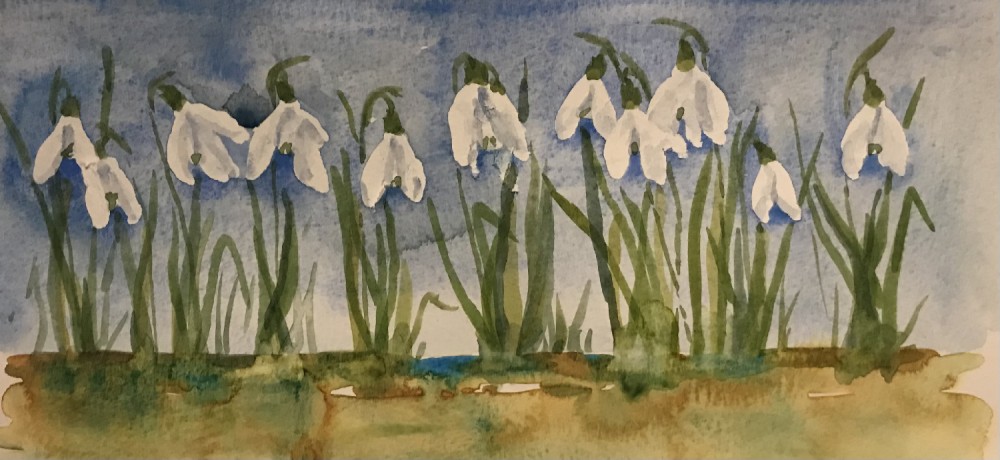 A Nod of Snowdrops