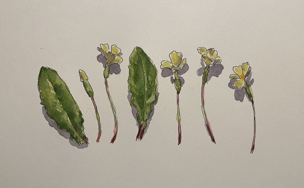 A promise of spring