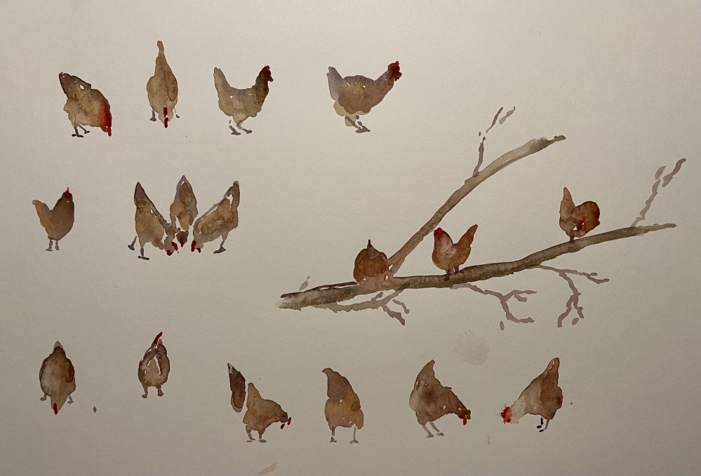Busy Hens