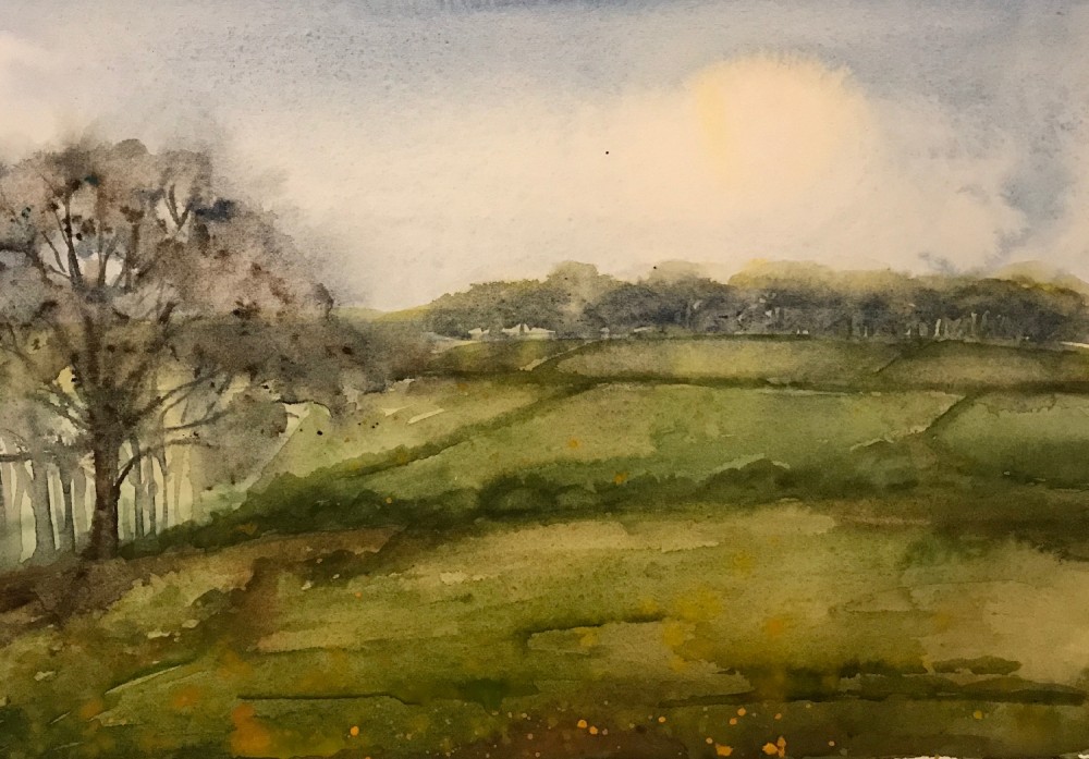 Patchwork Fields