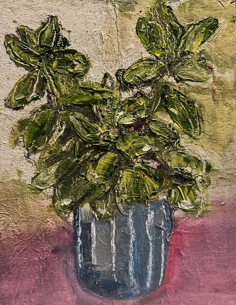 Plant in a pot