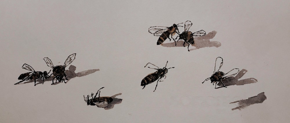Tidying the Hive