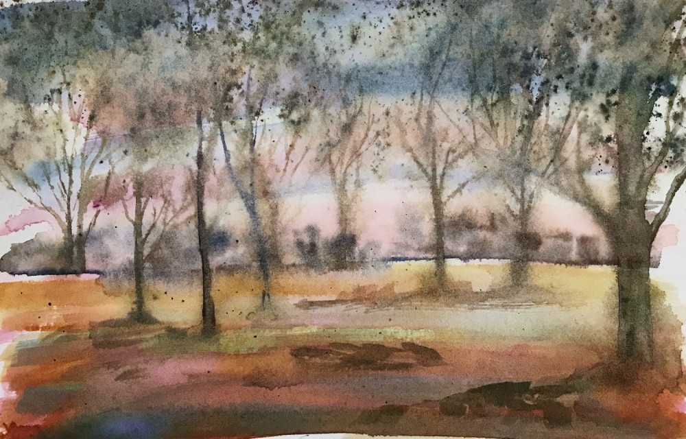 Winter Woods