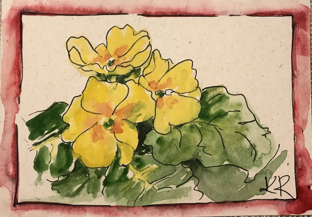 Primrose or Primula? Actually Both