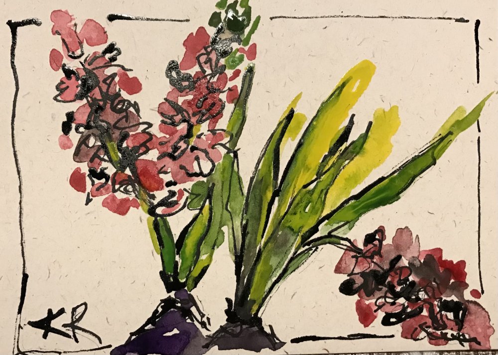 Relaxed Hyacinths