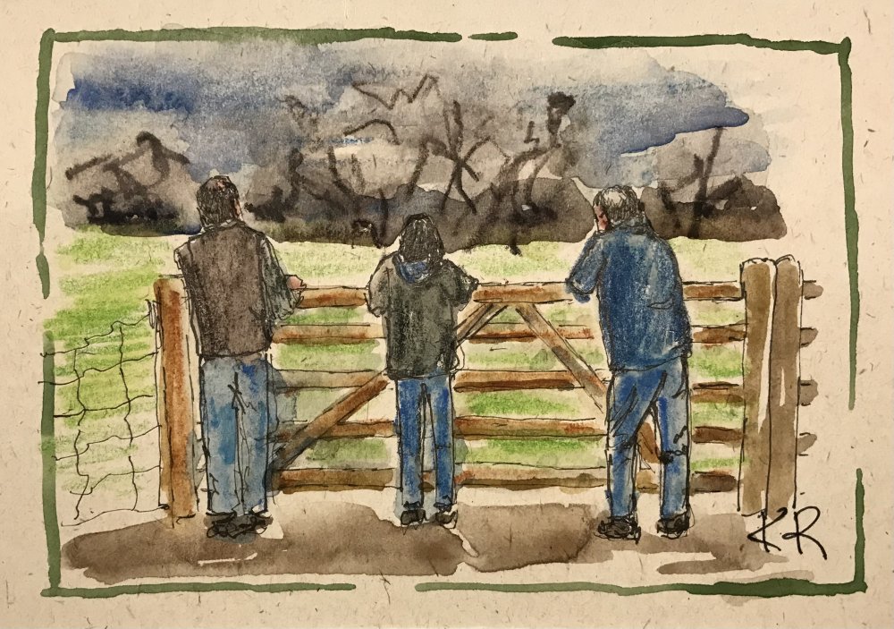 Allotment Inspection