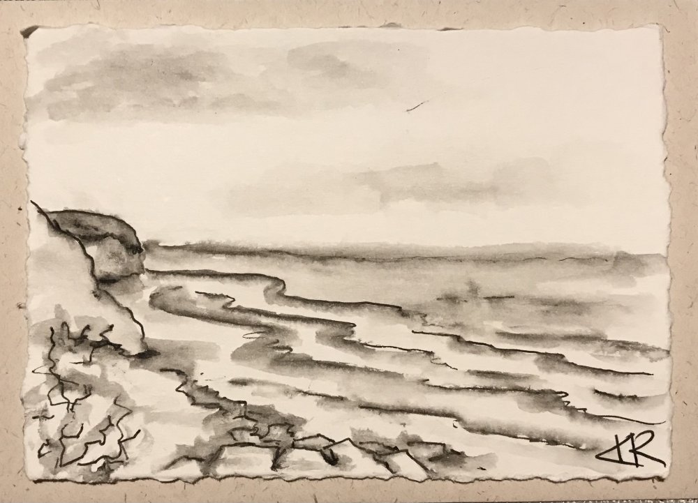 Day 5 Wild Waves