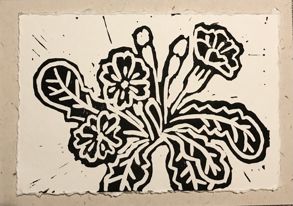 Primrose in Print