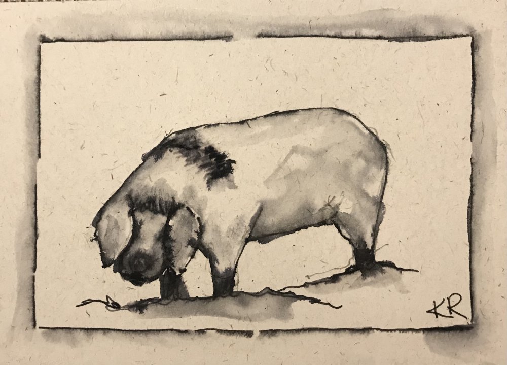 Benenden Pig