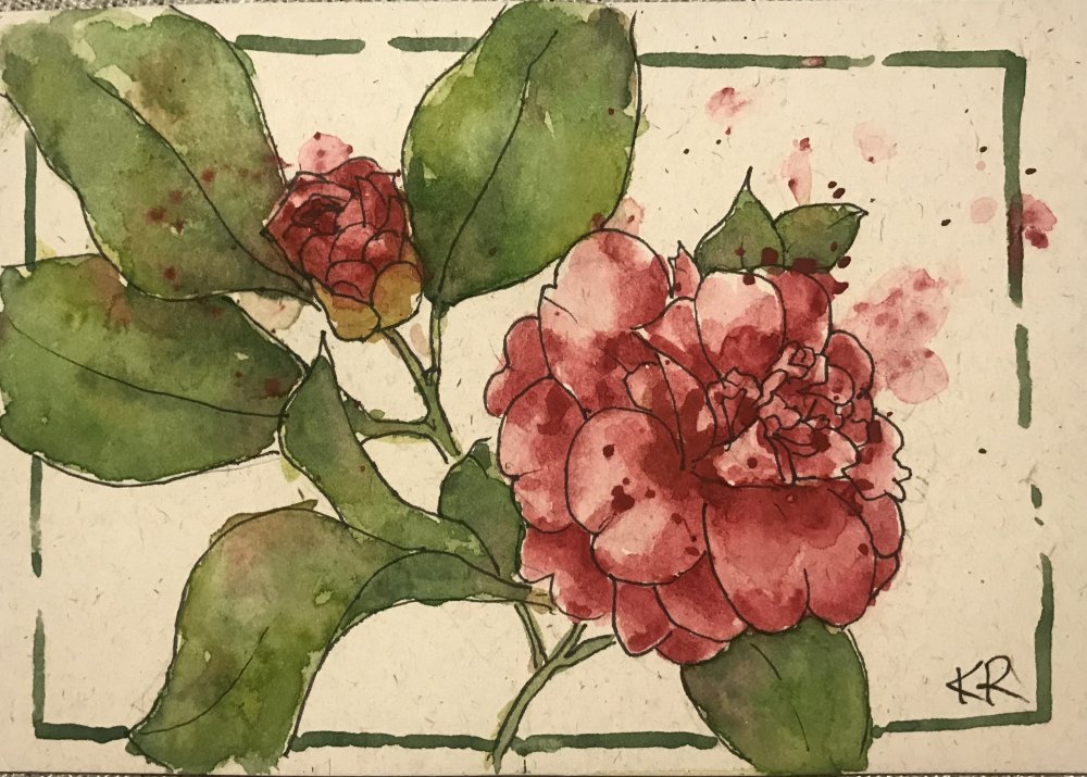 Camellia