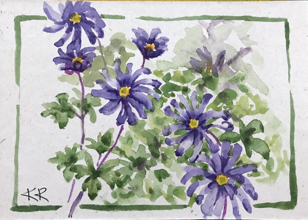 Windflower for Charm