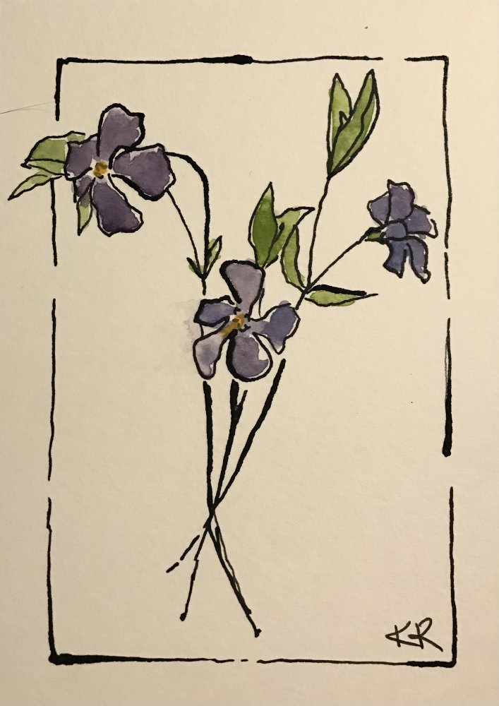 Periwinkle for Friendship