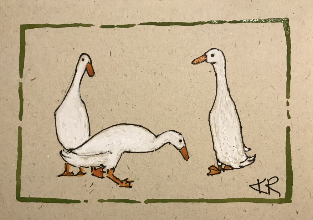 Bottle Ducks