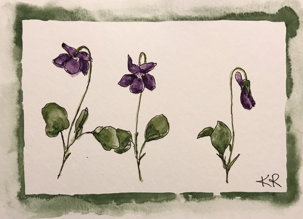 Wild Violets for Healing