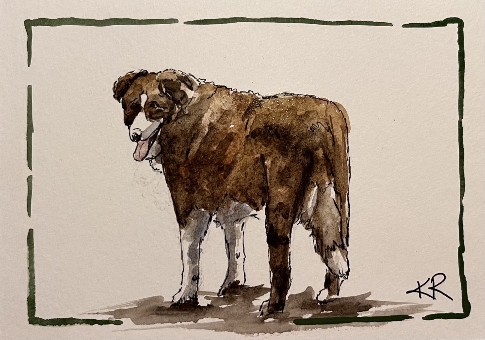 Day Seven 