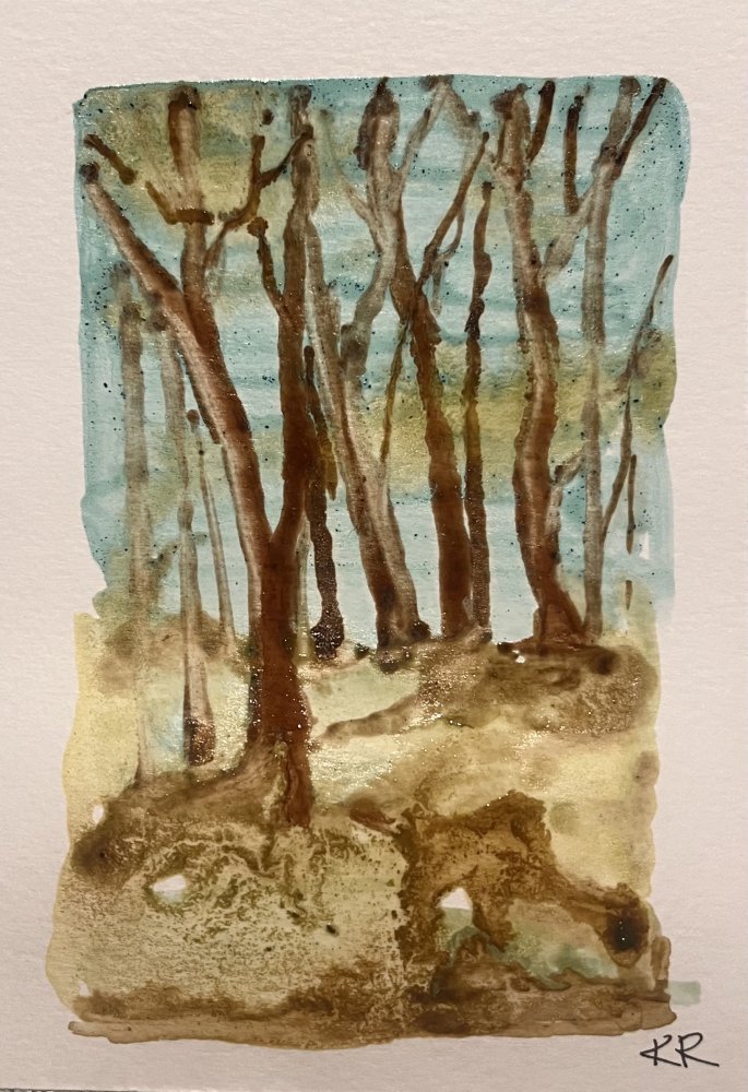 Day Eight 