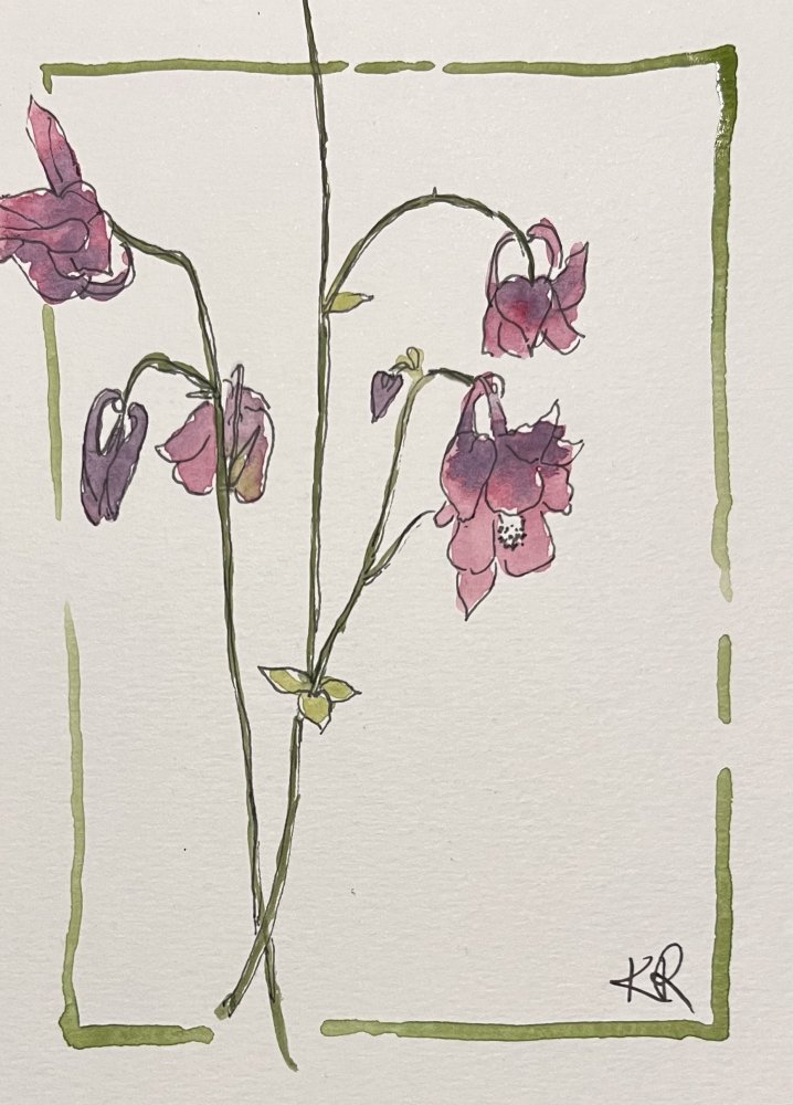 Decapitated Aquilegia