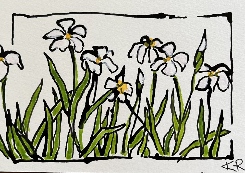 Pond Iris