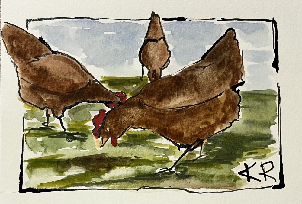Missing Hen