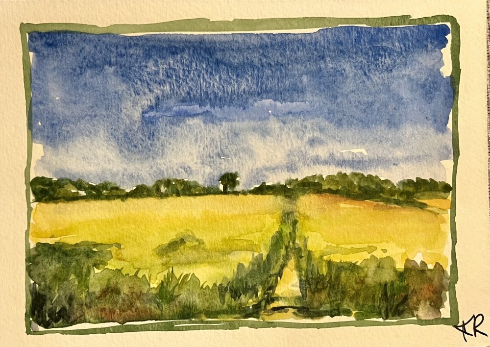 Fields of Corn
