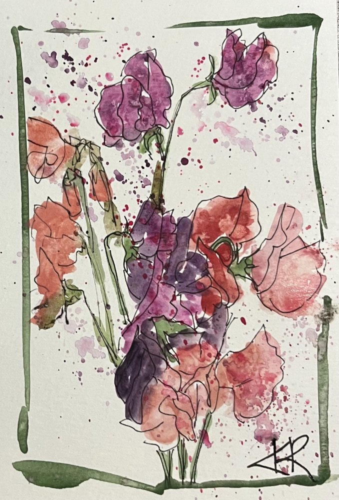 First Sweetpeas