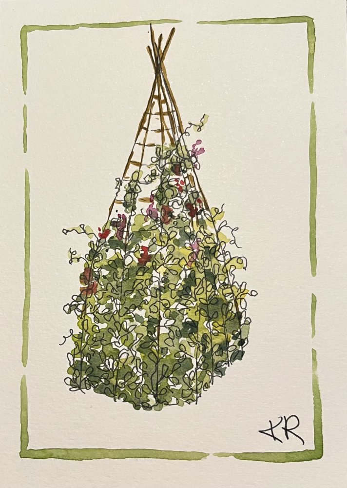 A Pyramid of Sweetpeas