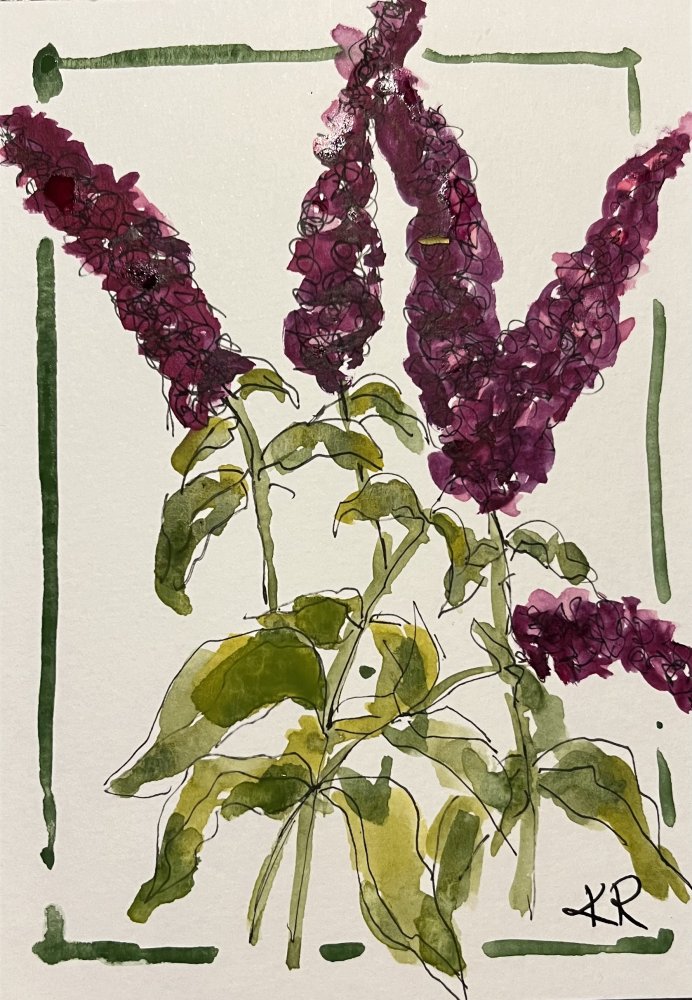 A Bunch of Buddleia
