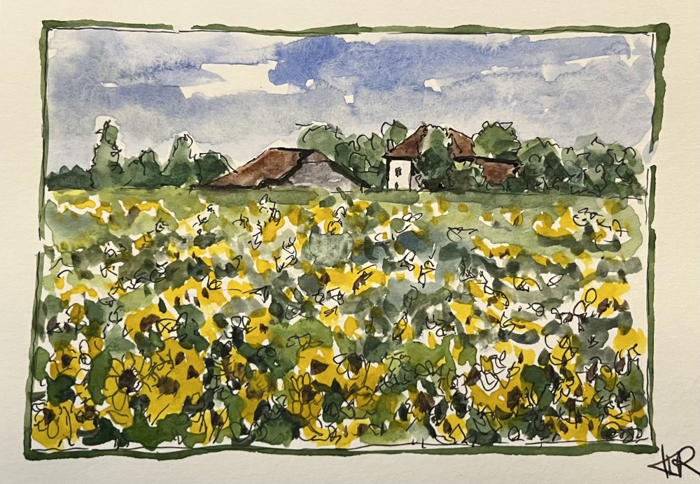 Behind La Maison Rose