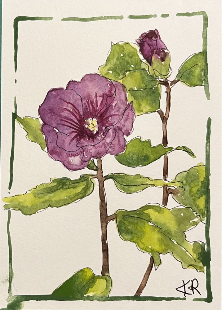 Hibiscus for Wisdom
