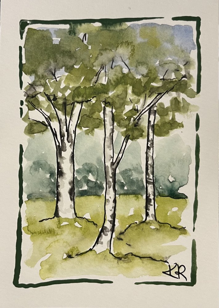 Silver Birch for Love