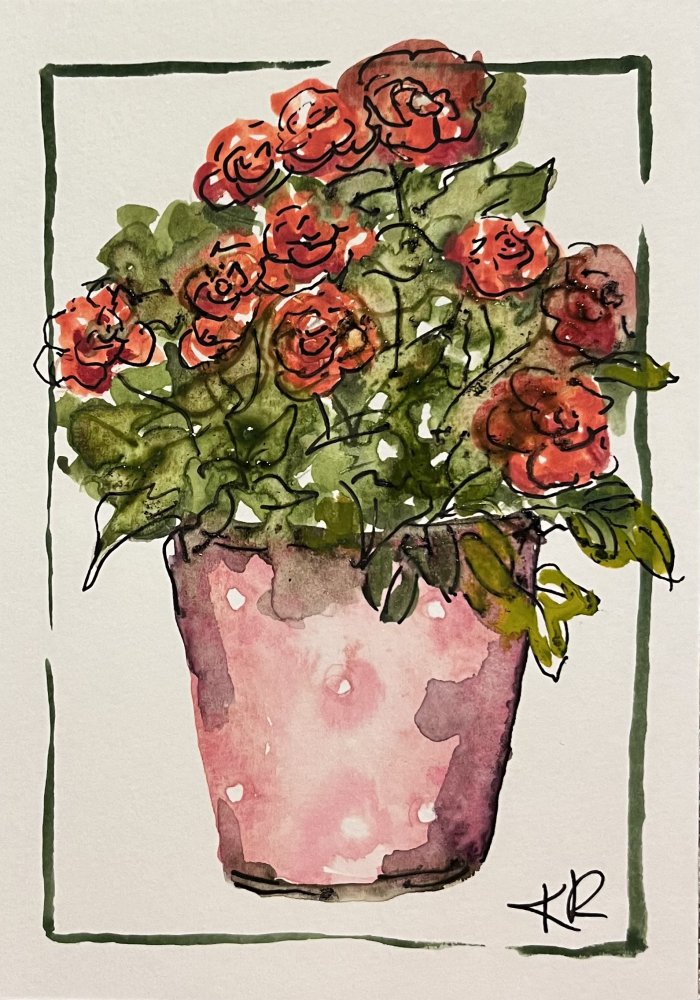 Rose from Tom