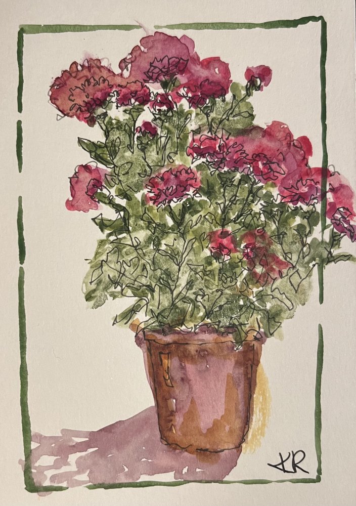 Asters for Kindness and Love