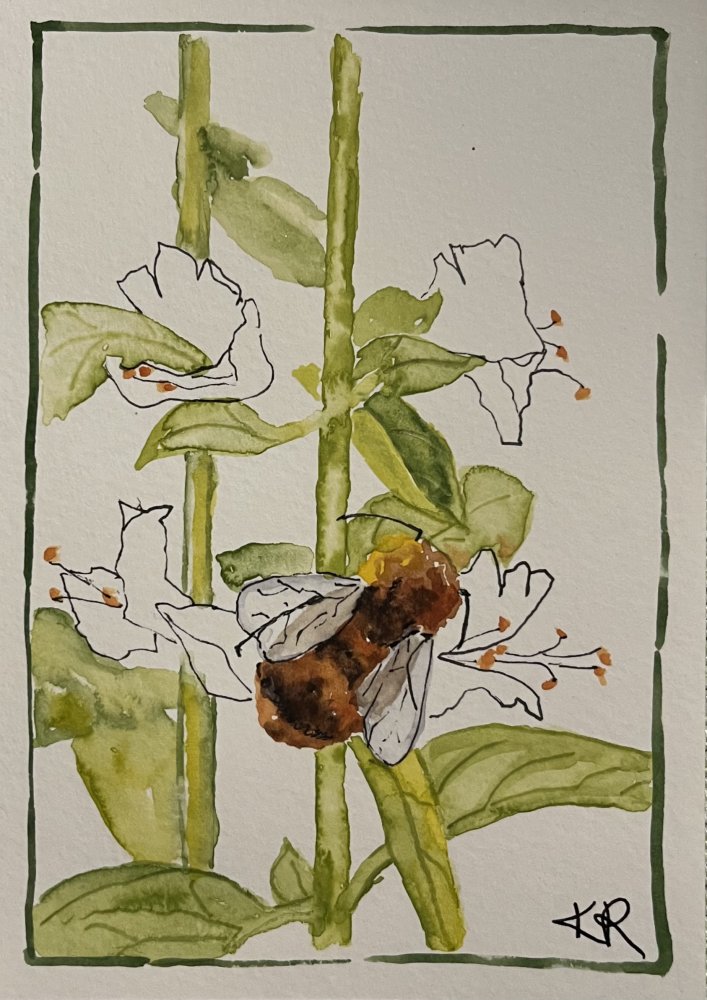 Bumble Bee on Basil