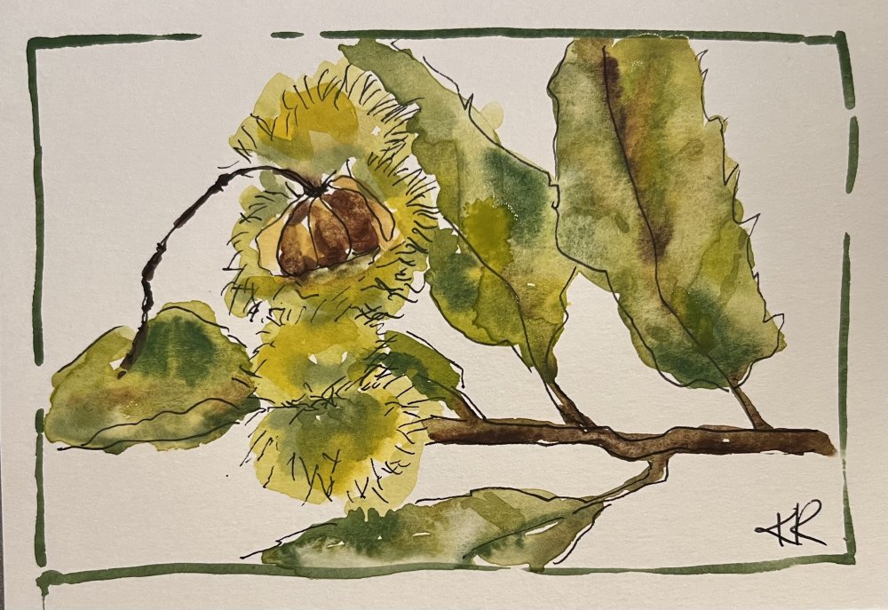 Sweet Chestnuts for Wisdom