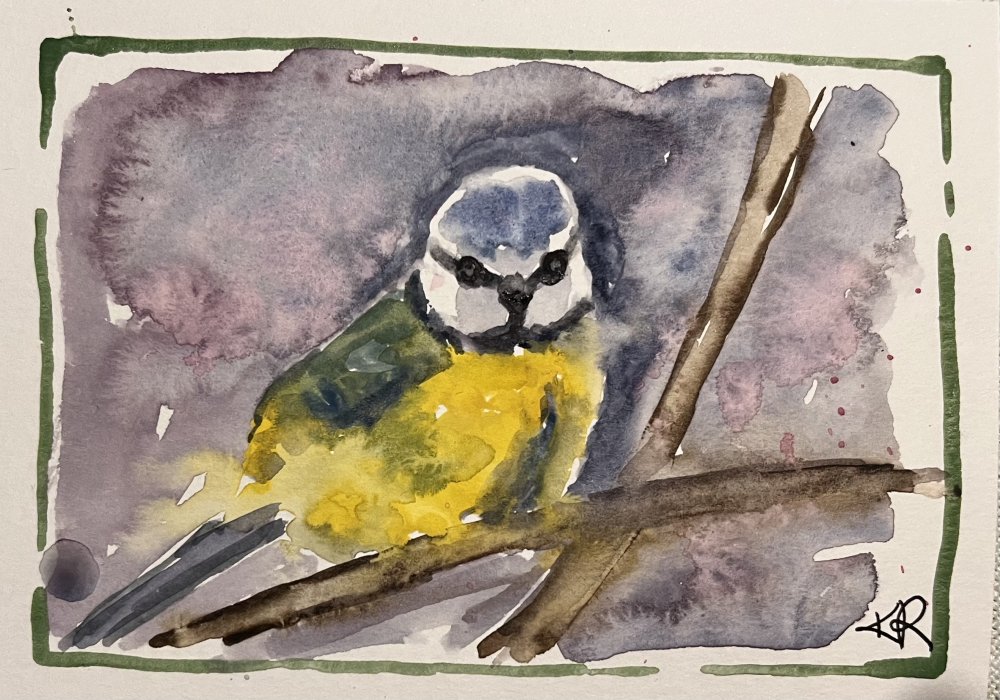 Angry Bluetit