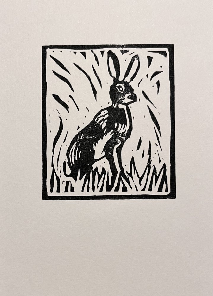 Hare