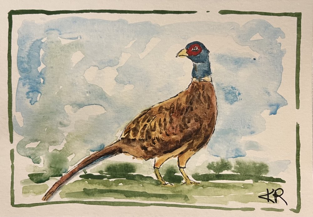 Pheasant