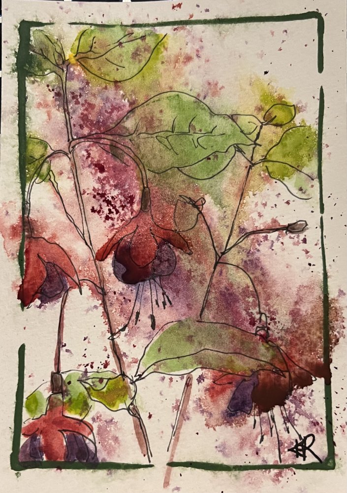 Ancient Fushia