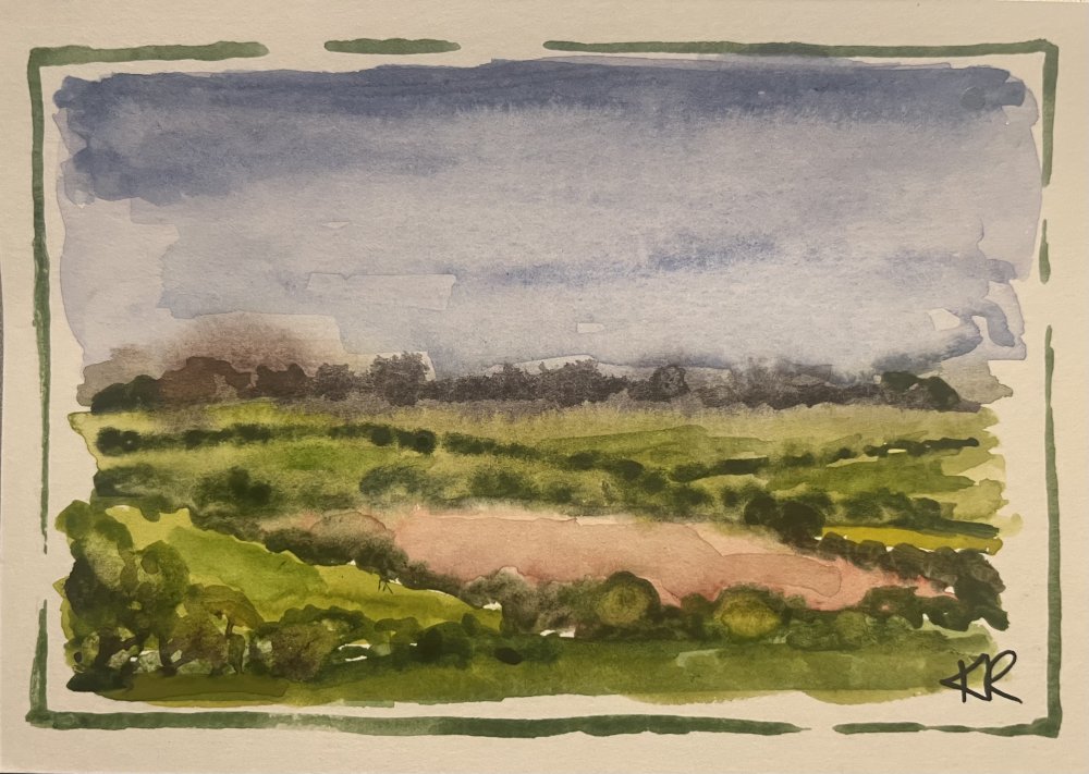 Fields of Green and Pink