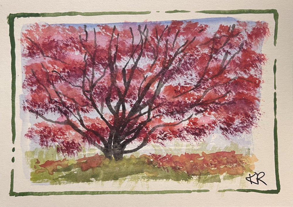 A Maple Tree for Good Luck and Prosperity