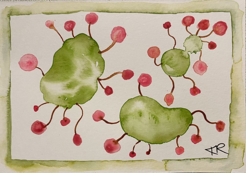 Virus